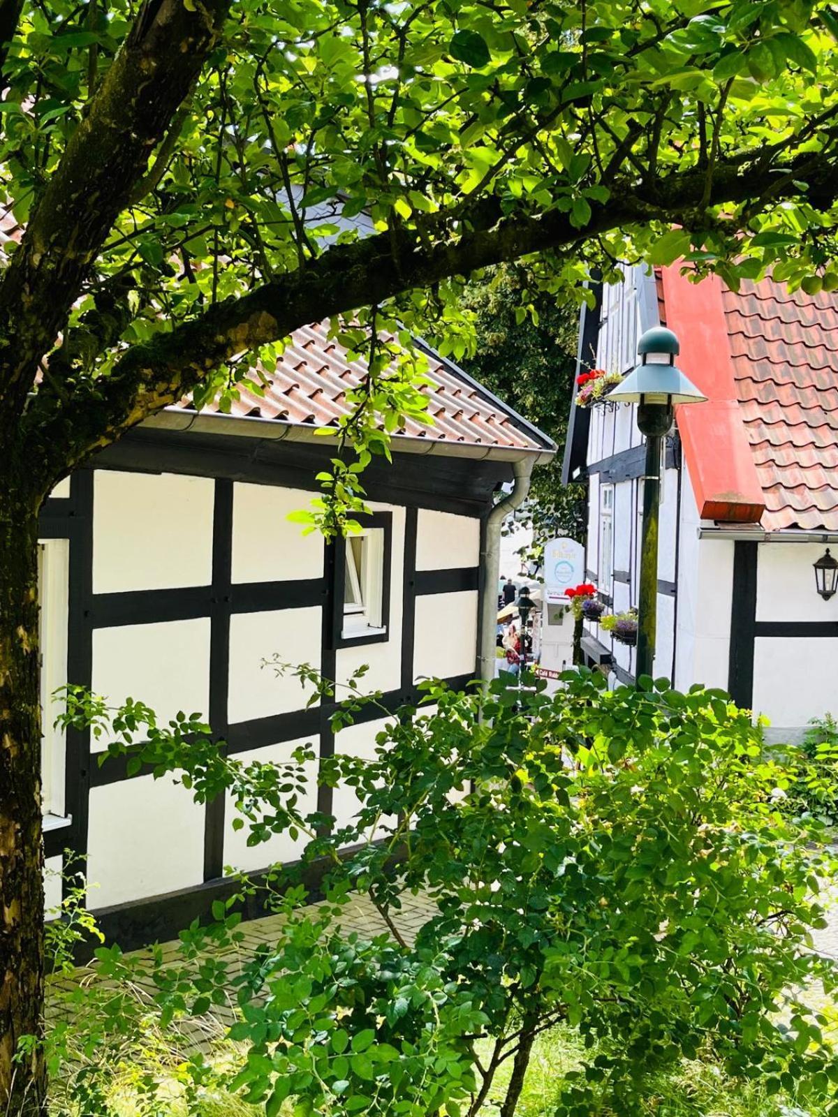 Lateinschule Apartment Tecklenburg Exterior photo