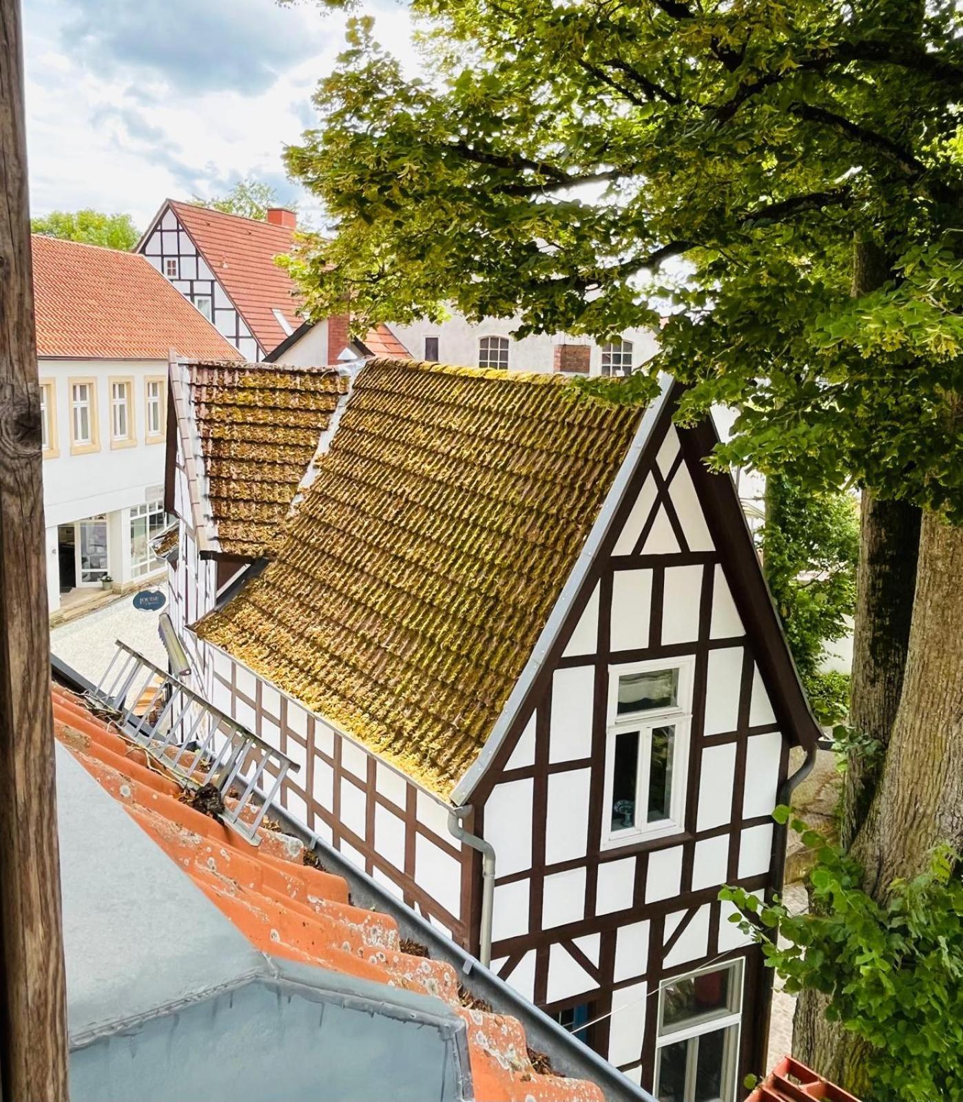 Lateinschule Apartment Tecklenburg Exterior photo